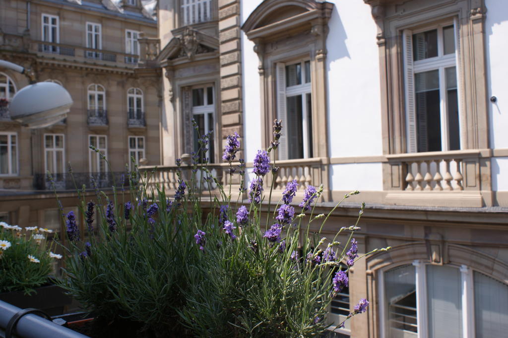Studio De L'Hotel De Ville Στρασβούργο Εξωτερικό φωτογραφία